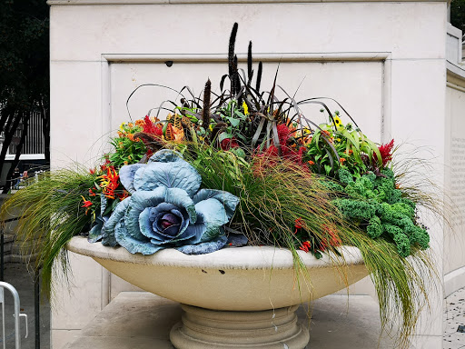 Cultural Center «Chicago Cultural Center», reviews and photos, 78 E Washington St, Chicago, IL 60602, USA