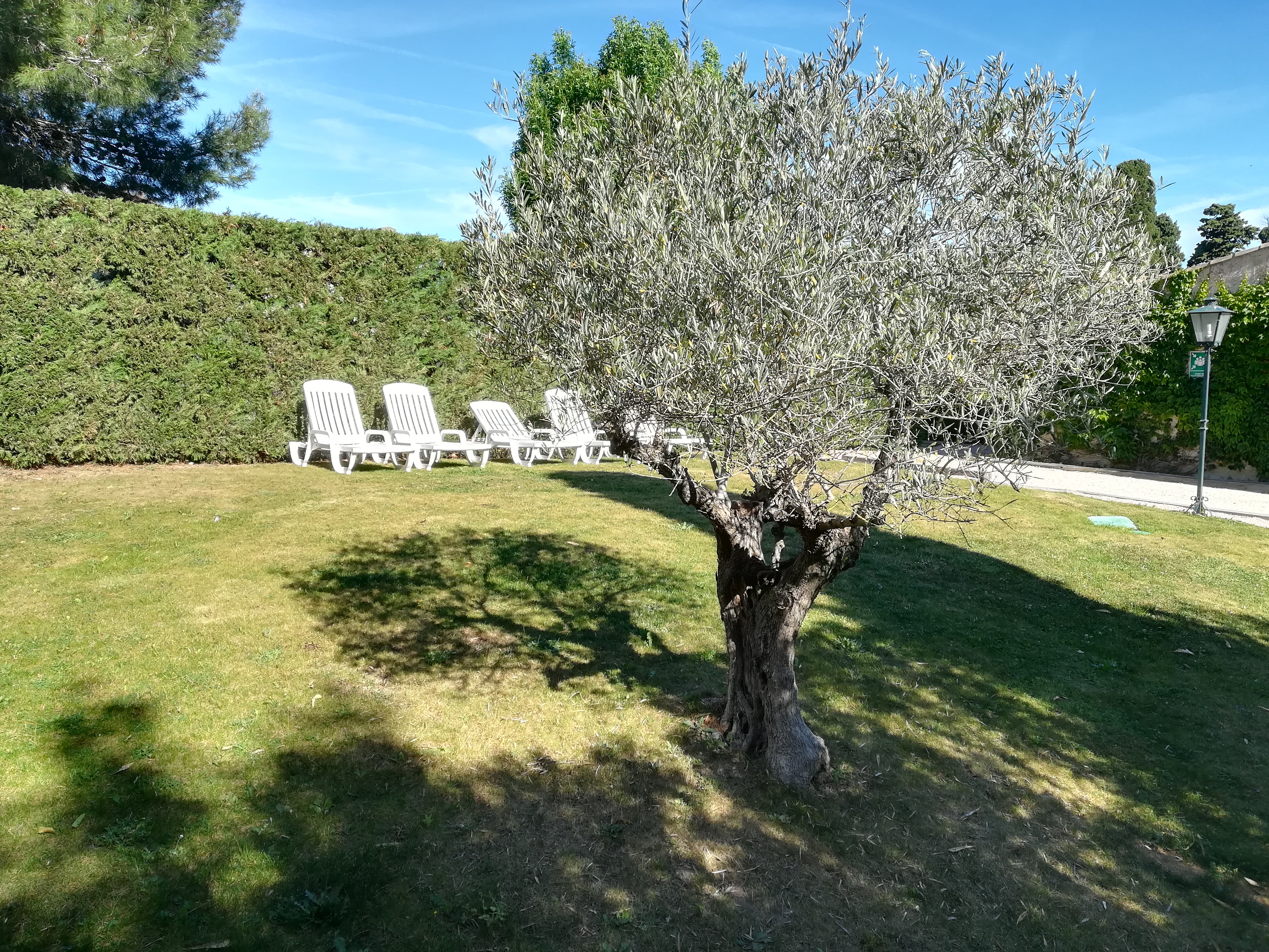 Photo n° 1 de l'avis de Patrick.o fait le 20/05/2019 à 09:54
