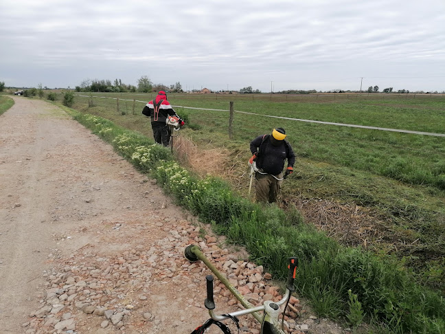 Értékelések erről a helyről: Kovács Roland fűnyírási Vállalkozó, Hódmezővásárhely - Kertészkedő