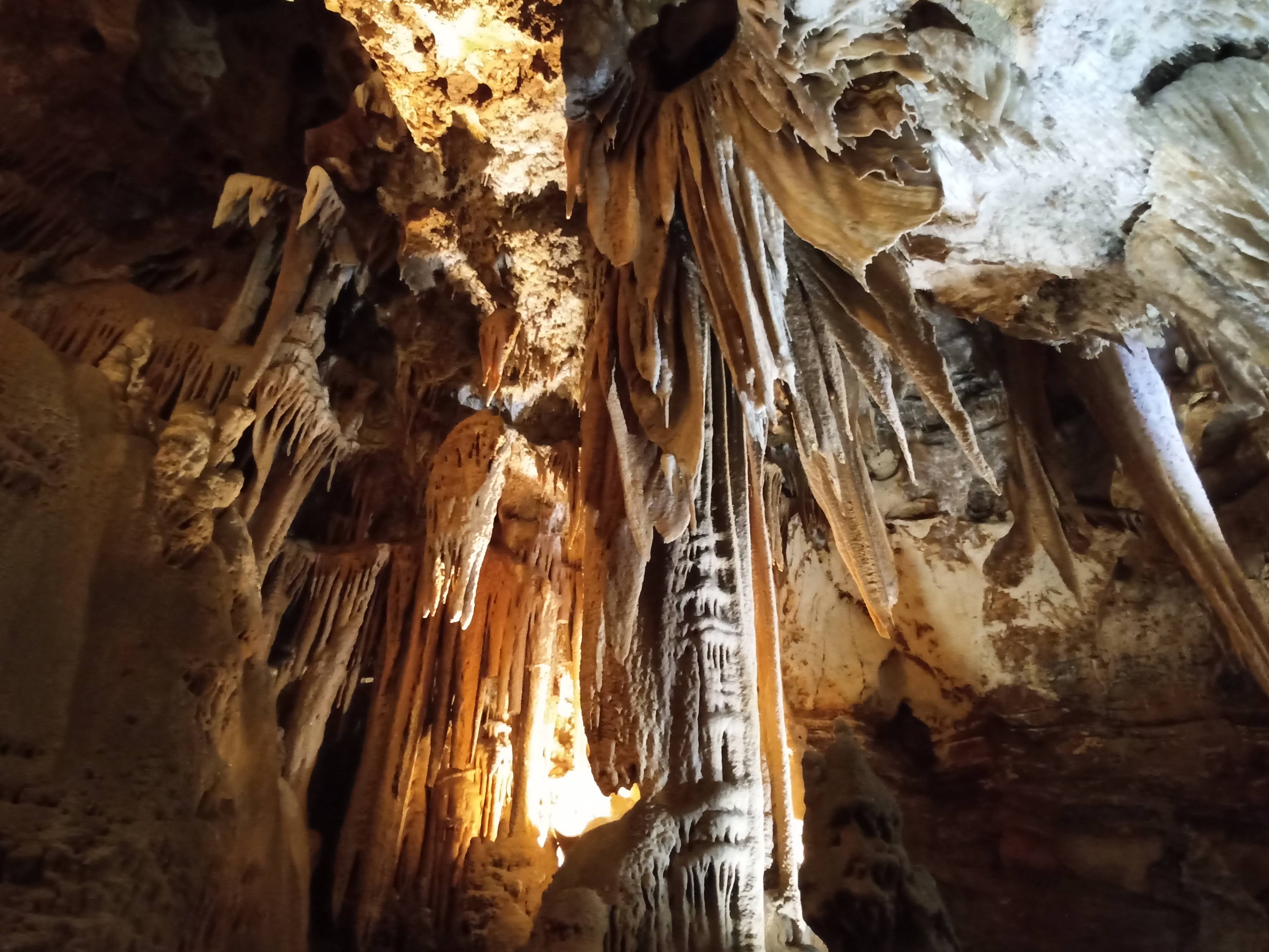 Photo n° 26 de l'avis de Abalone.R fait le 03/08/2019 à 20:27