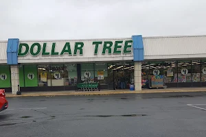 Dollar Tree image