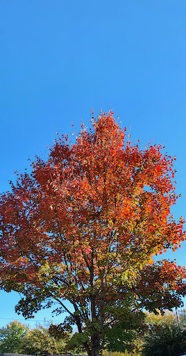 Park «Frankie Allen Park», reviews and photos, 100 Bagley St NE, Atlanta, GA 30305, USA