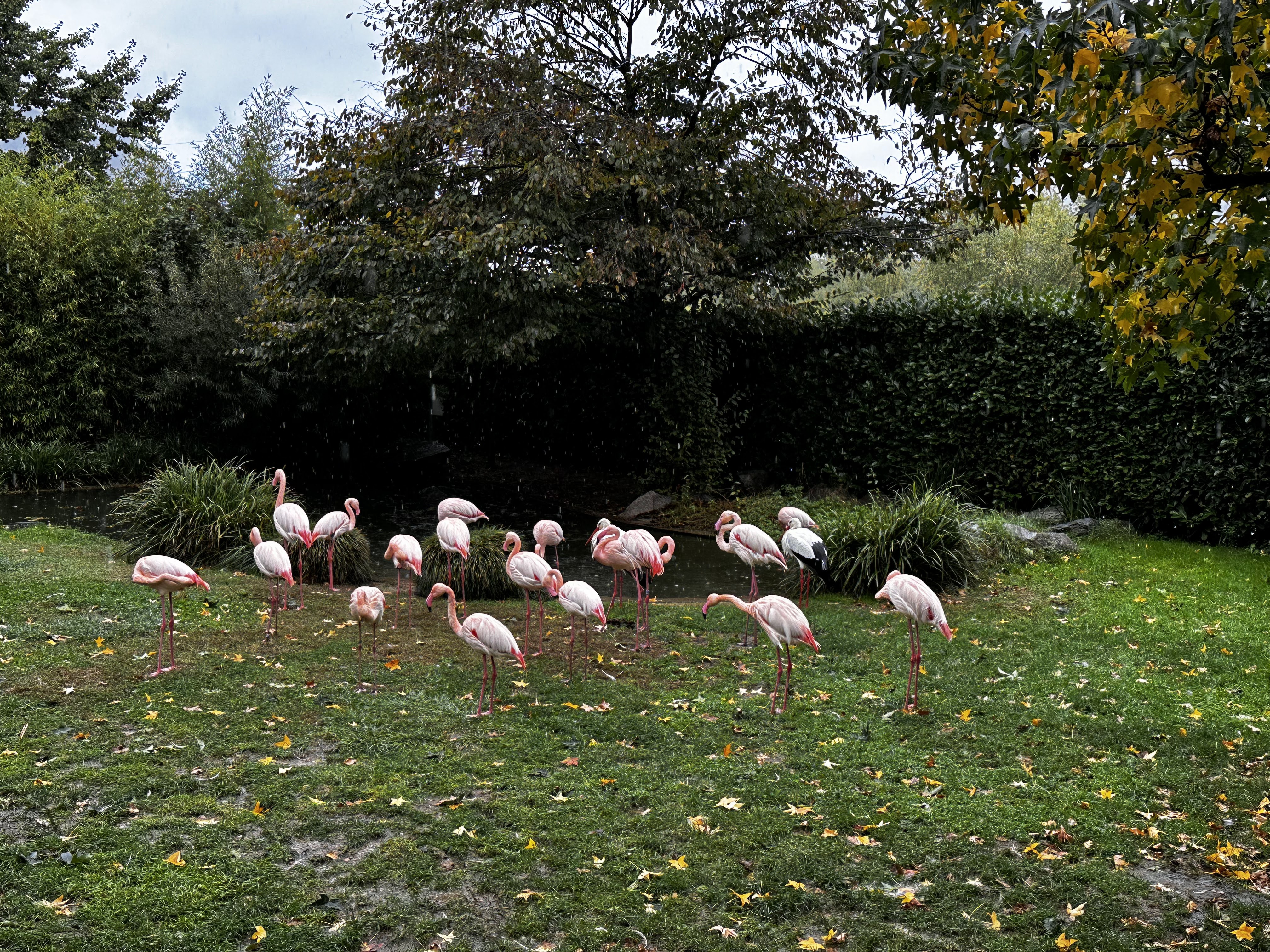 Photo n° 3 de l'avis de Vincent.e fait le 04/11/2023 à 07:14
