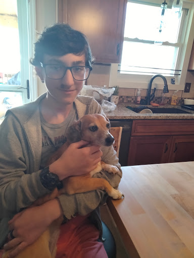 Pet Supply Store «Pet Supplies Plus», reviews and photos, 254 S Illinois Ave, Oak Ridge, TN 37830, USA