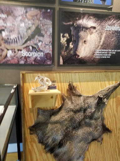 Grocery Store «Safeway», reviews and photos, 29834 N Cave Creek Rd, Cave Creek, AZ 85331, USA