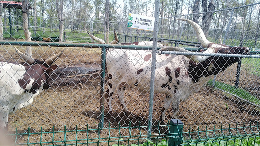 Zoológico de Rodolfo Landeros