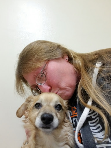 Harrisonville Animal Clinic image