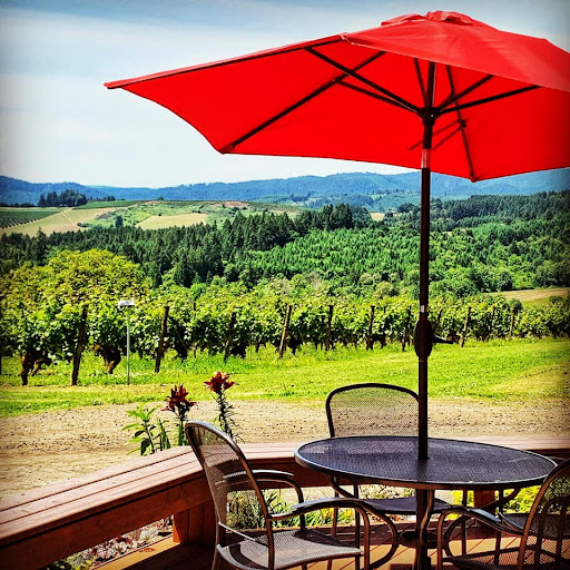 Vineyard «Tualatin Estate Vineyard», reviews and photos, 10850 NW Seavey Rd, Forest Grove, OR 97116, USA