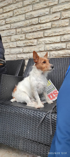 Caffe Bar Dalmatino