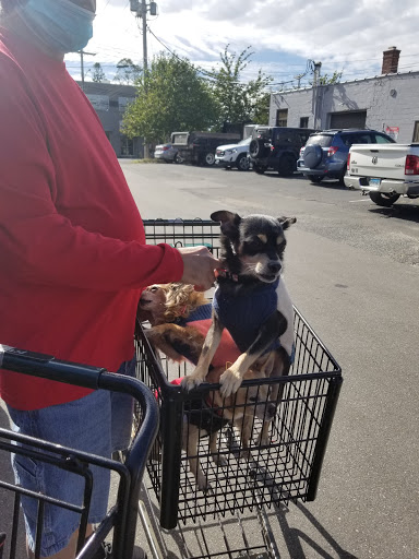 Pet Supply Store «The Natural Pet Outlet», reviews and photos, 3380 Fairfield Ave, Bridgeport, CT 06605, USA