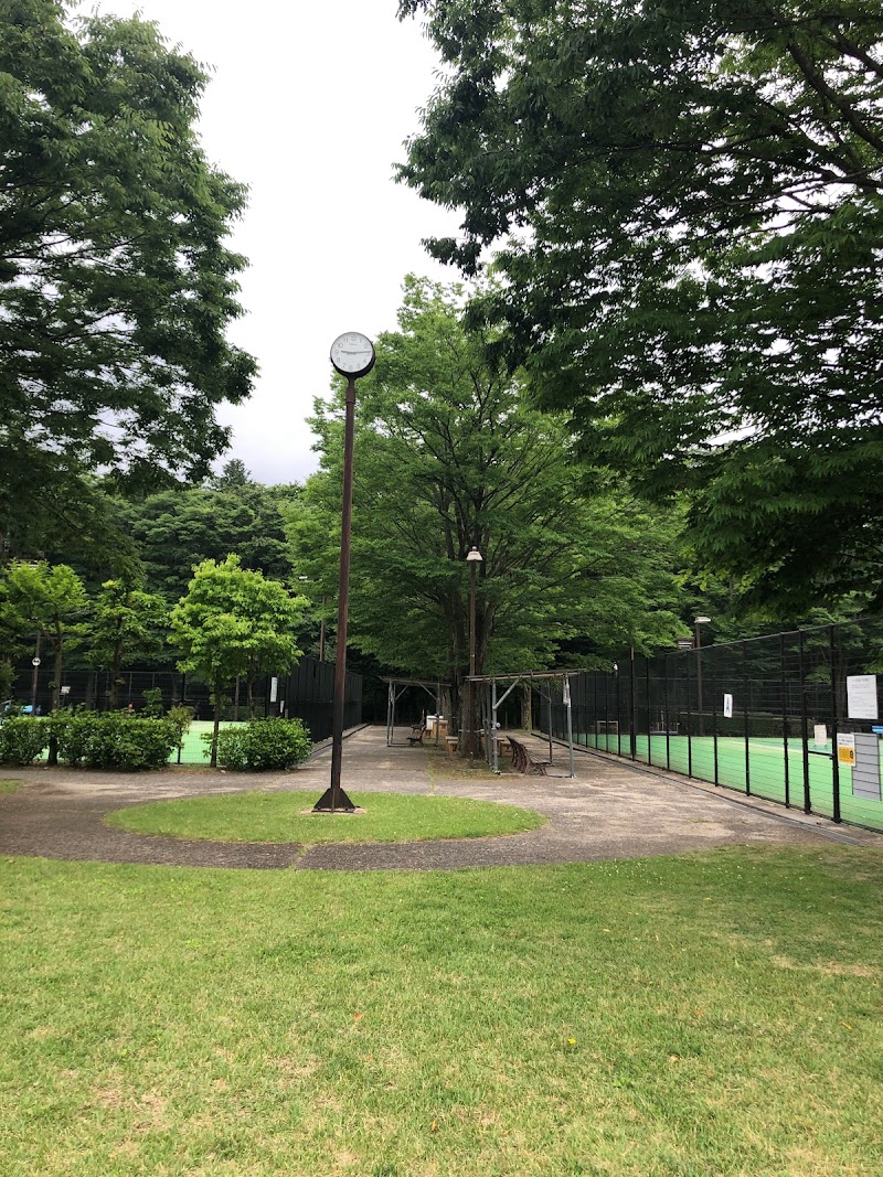 野木総合運動公園 テニスコート(オムニ)
