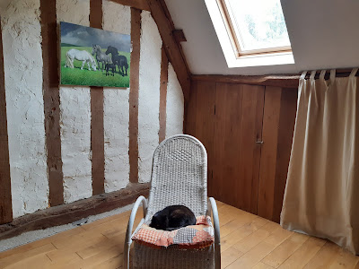 Ferme Equestre la Pichardière à Ceton