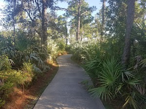 6 Acre Wood Park - photo 88