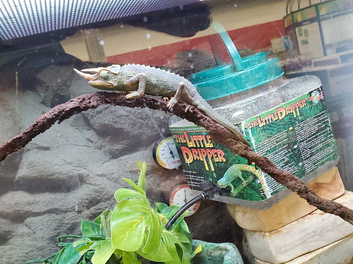 Pet Supply Store «Petco Animal Supplies», reviews and photos, 16434 N Marketplace Blvd, Nampa, ID 83651, USA