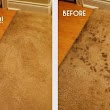 Bristol family carpet cleaner