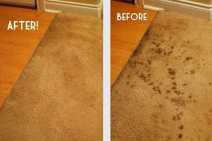 Bristol family carpet cleaner