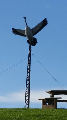 Winery «Goose Watch Winery», reviews and photos, 5480 NY-89, Romulus, NY 14541, USA