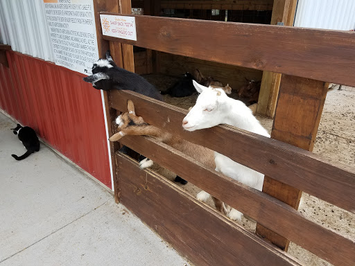 Farm «Goat Milk Stuff», reviews and photos, 76 S Lake Rd N, Scottsburg, IN 47170, USA
