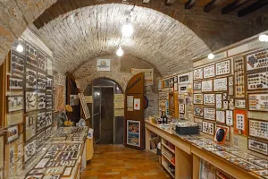 Museo del Bottone image