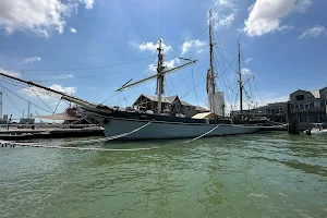 Historic Harbor Tours and Dolphin Watch image