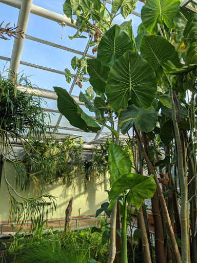 Stadium «Barton Hall», reviews and photos, 117 Statler Dr, Ithaca, NY 14853, USA