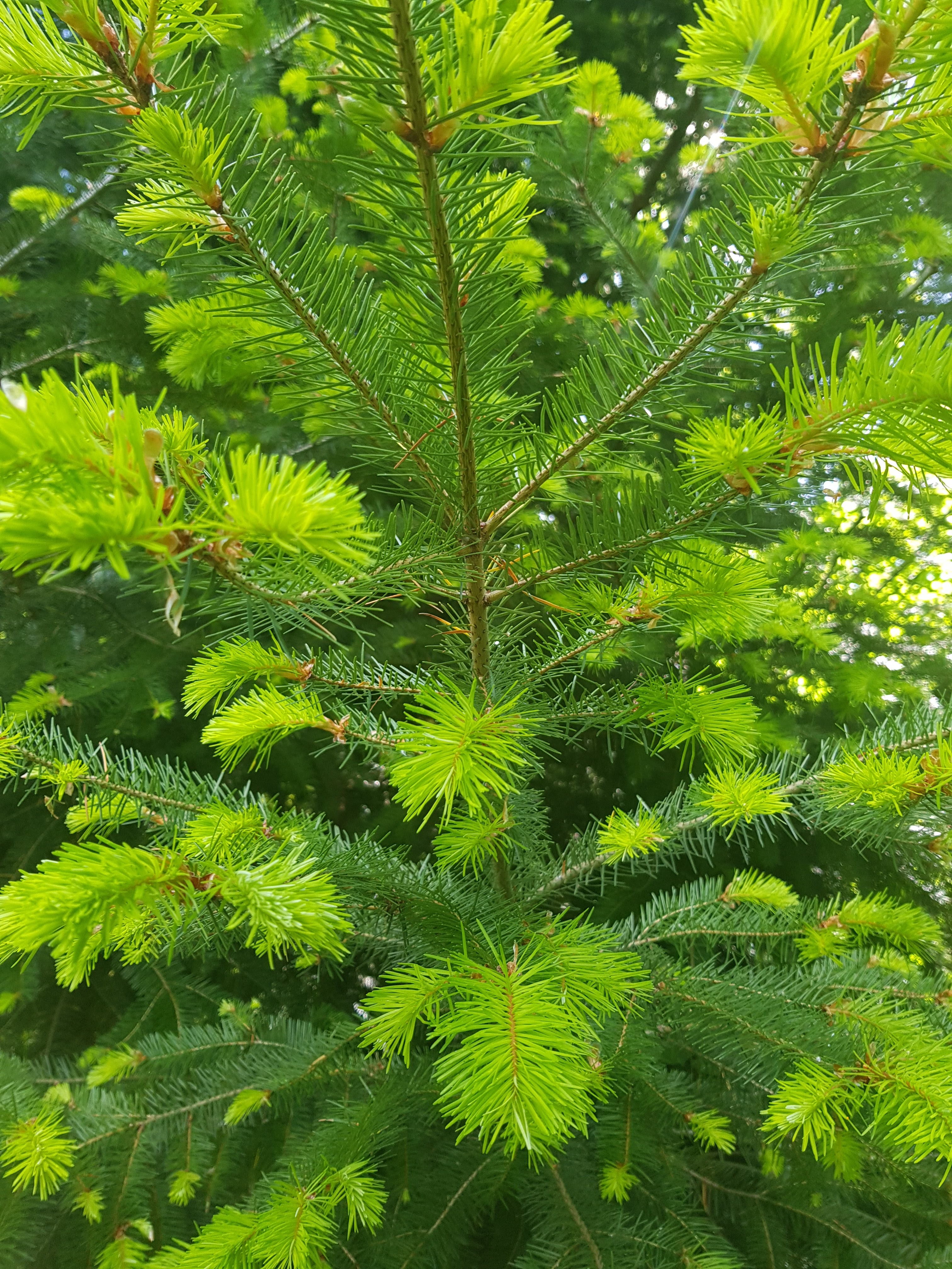 Photo n° 3 de l'avis de Agatha.. fait le 30/05/2019 à 14:53