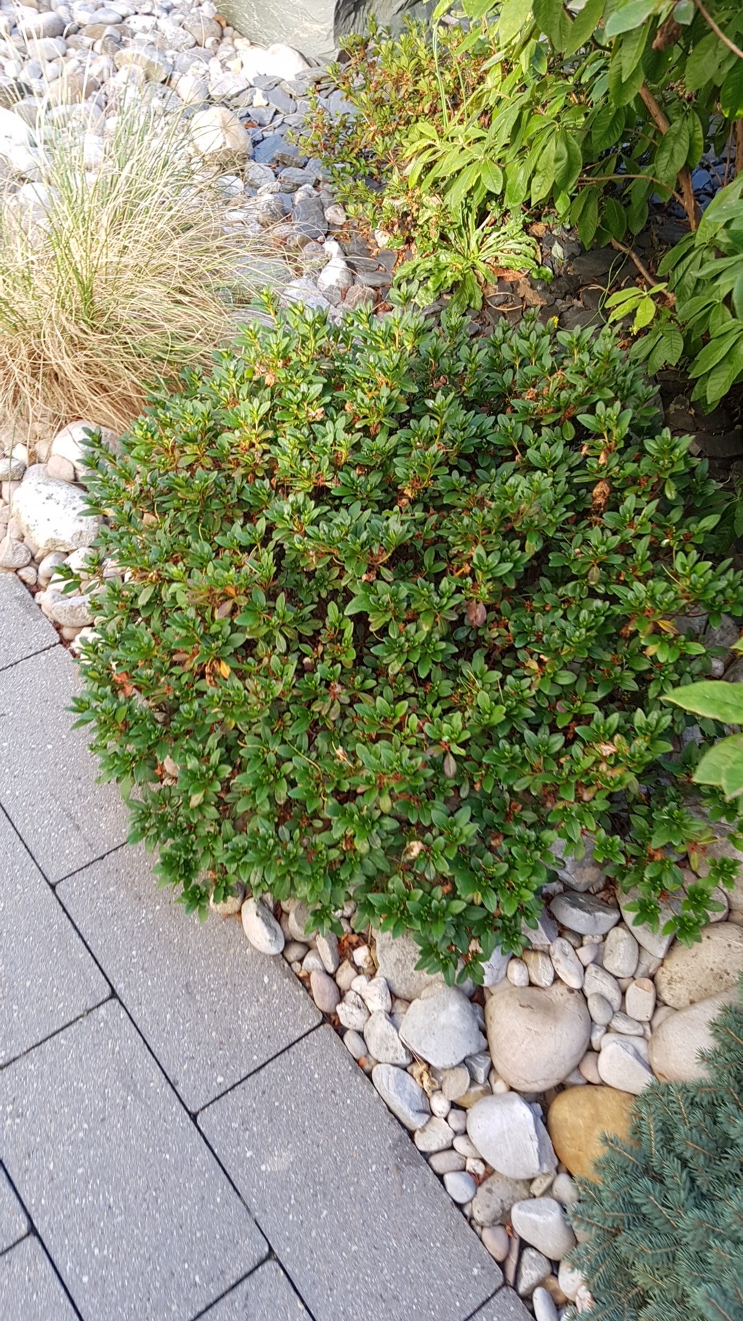 Photo n° 28 de l'avis de hugo.l fait le 20/08/2018 à 15:25