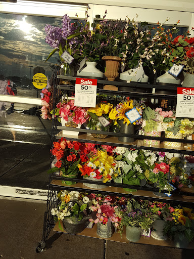 Craft Store «Michaels», reviews and photos, 4017 US Hwy 98 N, Lakeland, FL 33809, USA