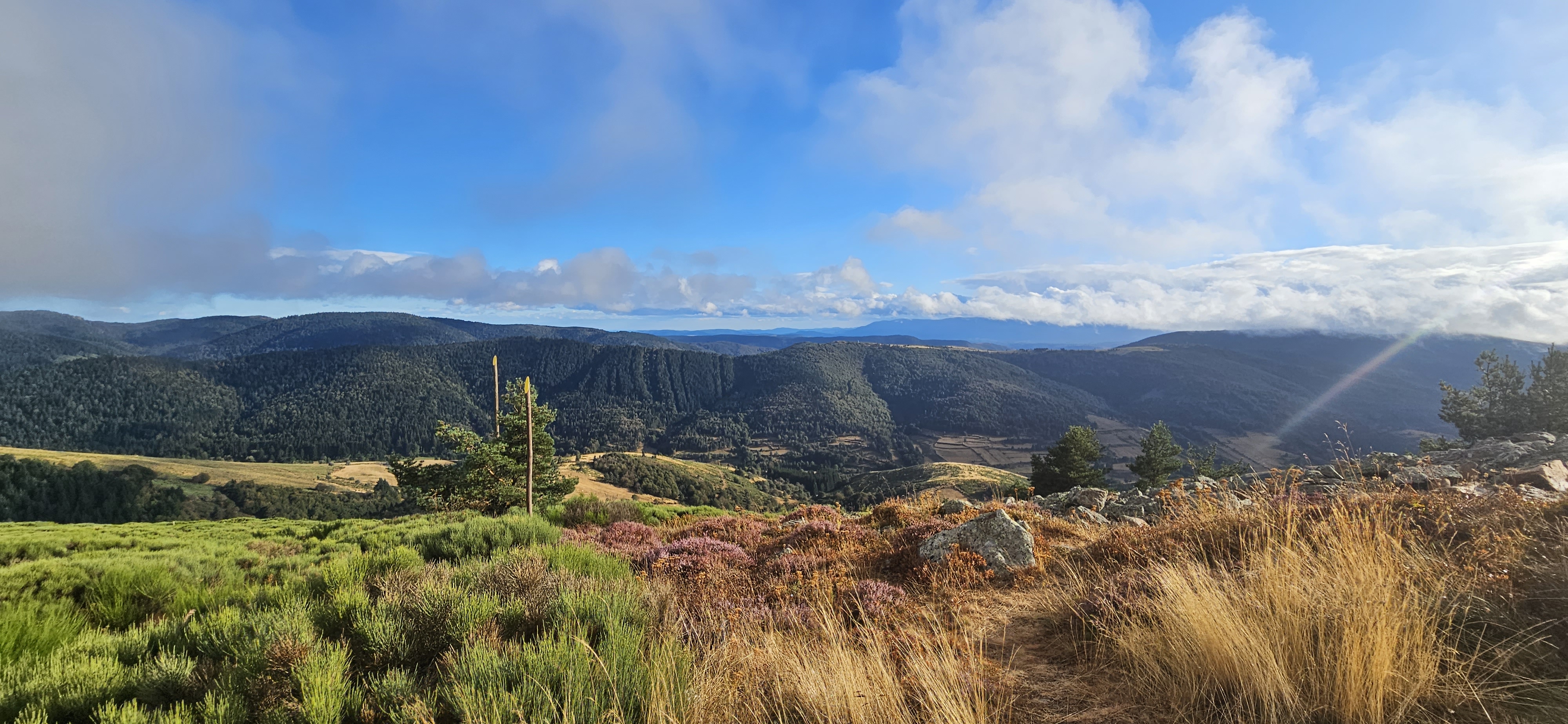 Photo n° 3 de l'avis de Gaël. fait le 30/08/2023 à 22:48