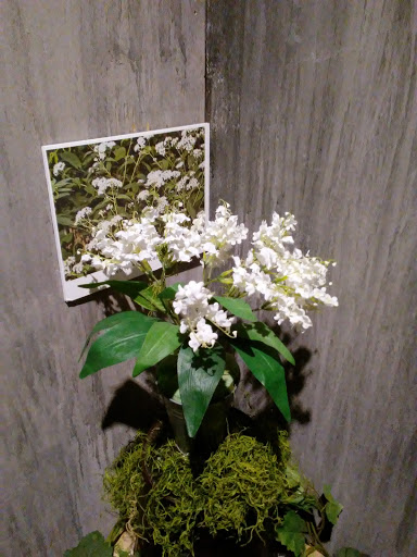 Science Museum «Adventure Science Center», reviews and photos, 800 Fort Negley Blvd, Nashville, TN 37203, USA