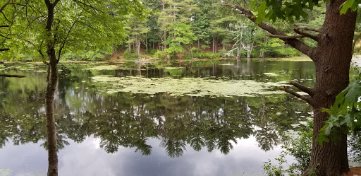 Park «Russell Mill Pond and Town Forest», reviews and photos, 105 Mill Rd, Chelmsford, MA 01824, USA