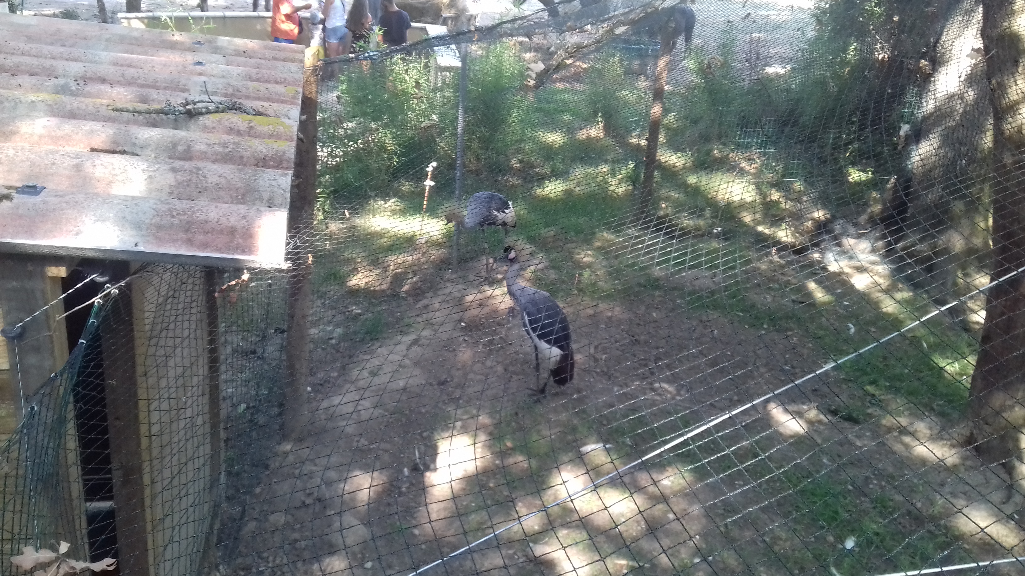 Photo n° 1 de l'avis de Laurent.o fait le 20/08/2018 à 10:25