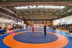 Sports Hall Peščenica image