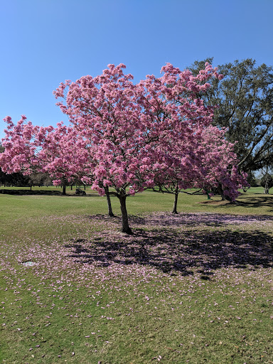 Golf Club «Winter Pines Golf Club», reviews and photos, 950 S Ranger Blvd, Winter Park, FL 32792, USA