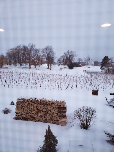 Winery «M Cellars», reviews and photos, 6193 S River Rd W, Geneva, OH 44041, USA