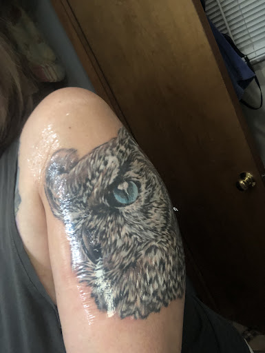 Explore blue jay tattoo ideas, creative tattoo ideas in Mohnton, available at Safe Haven Tattoo