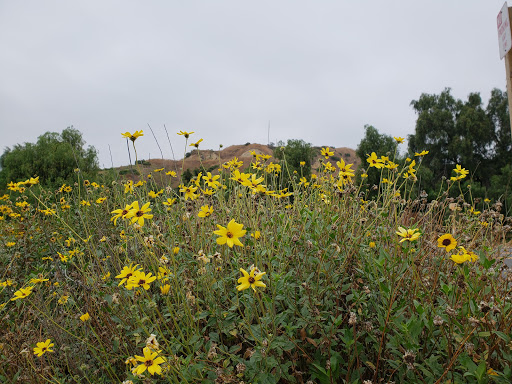 Tourist Attraction «Chino Hills State Park Discovery Center», reviews and photos, 4500 Carbon Canyon Rd, Brea, CA 92823, USA