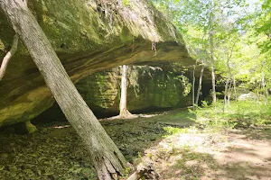 Mantle Rock Preserve image