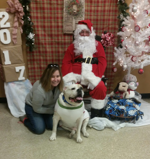 Pet Supply Store «PetSmart», reviews and photos, 263 Midway Blvd, Elyria, OH 44035, USA