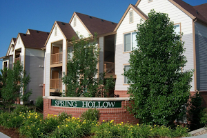 Spring Hollow image