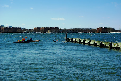 Community Center «Curley Community Center», reviews and photos, 1663 Columbia Rd, Boston, MA 02127, USA