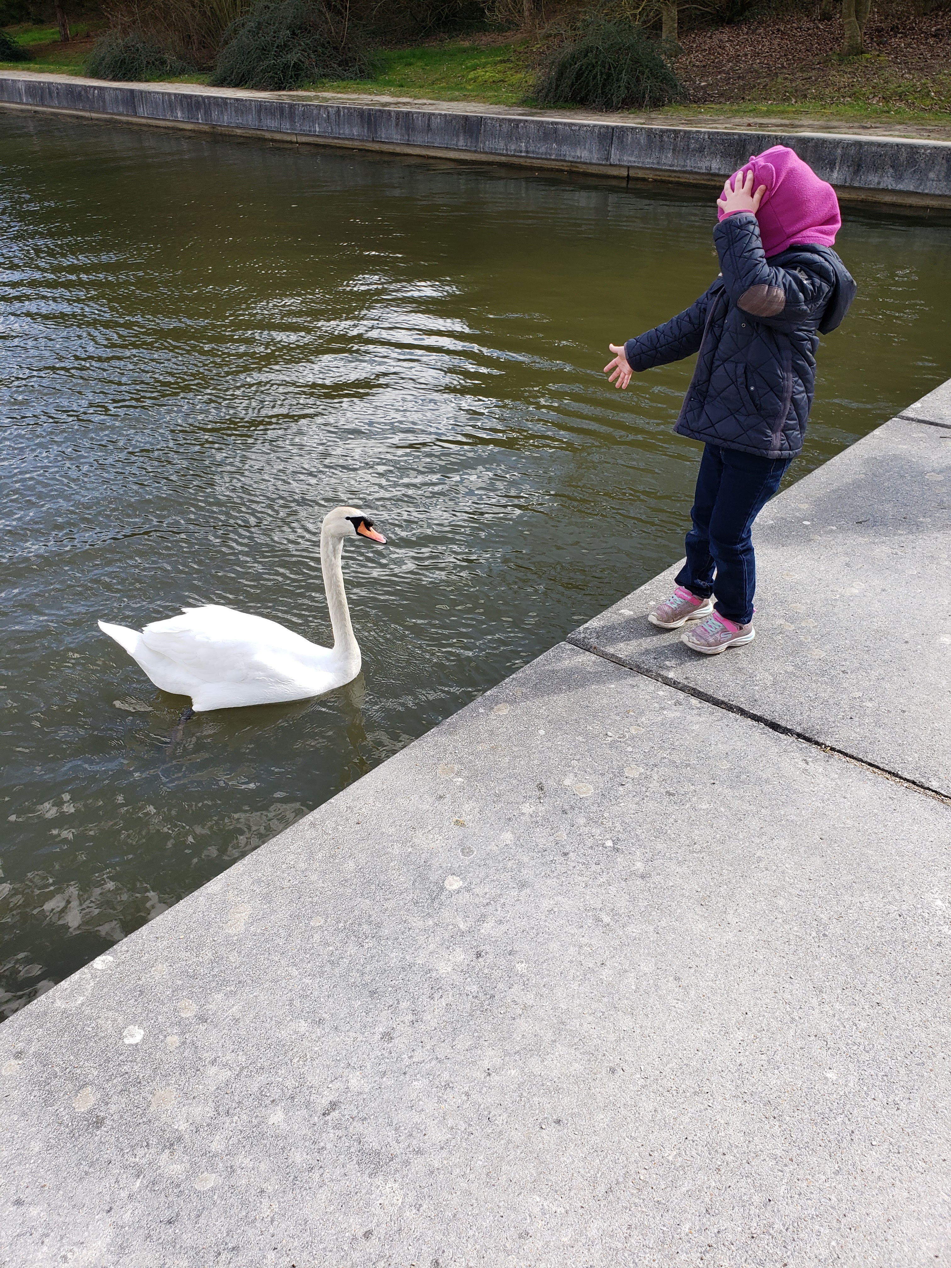 Photo n° 2 de l'avis de Tewfik.a fait le 27/05/2019 à 19:49
