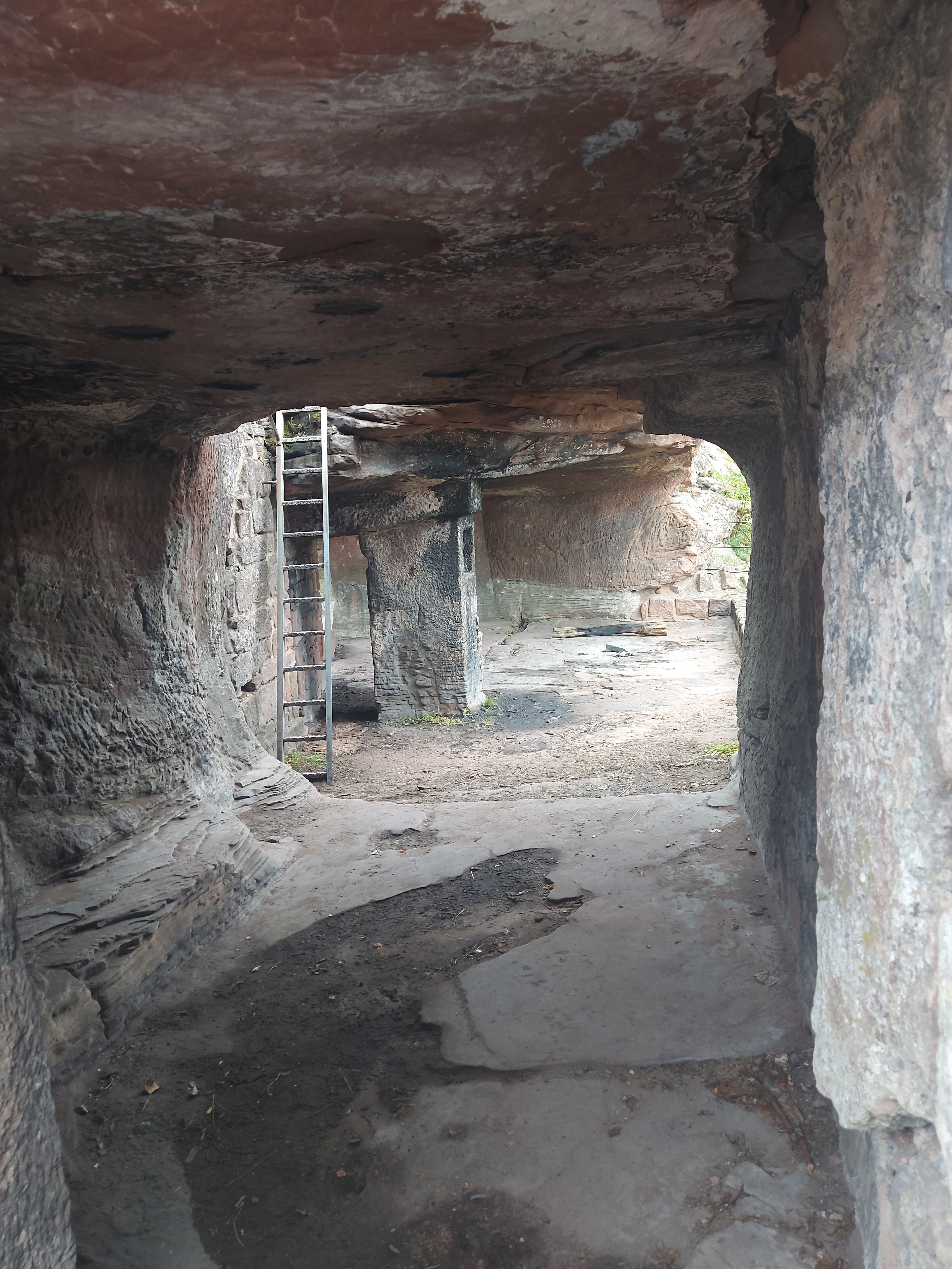 Photo n° 4 de l'avis de Marie-Luise.e fait le 04/09/2023 à 13:59