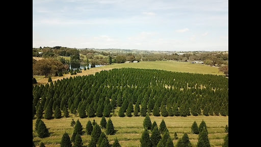Ports Christmas Tree Farm