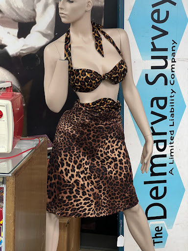 Screen Printer «Spaceboy Clothing», reviews and photos, 711 N Market St, Wilmington, DE 19801, USA