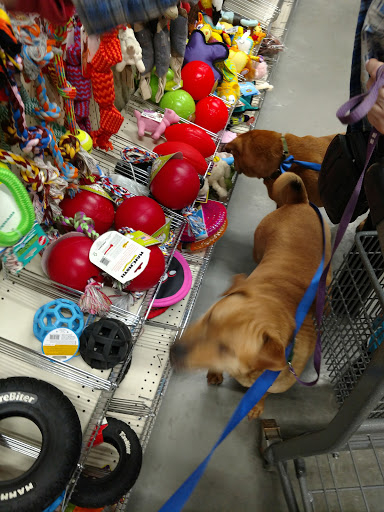 Home Improvement Store «Tractor Supply Co.», reviews and photos, 575 N Lapeer Rd, Oxford, MI 48371, USA