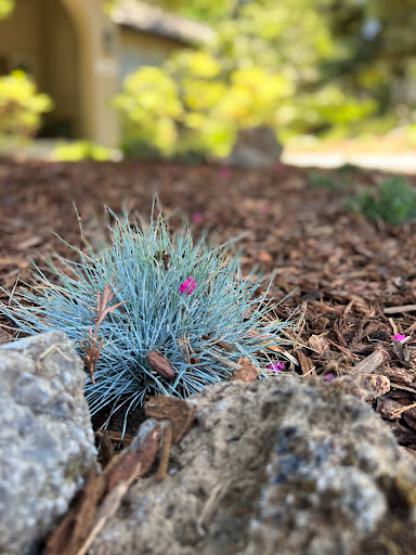 Hughes Landscape Inc. image