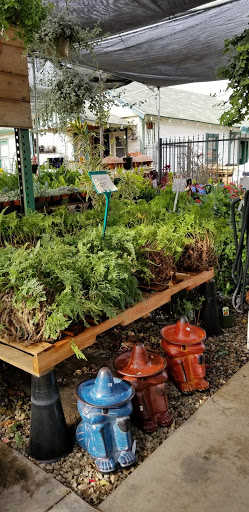 Florist «Plant Safari», reviews and photos, 653 N Central Ave, Upland, CA 91786, USA