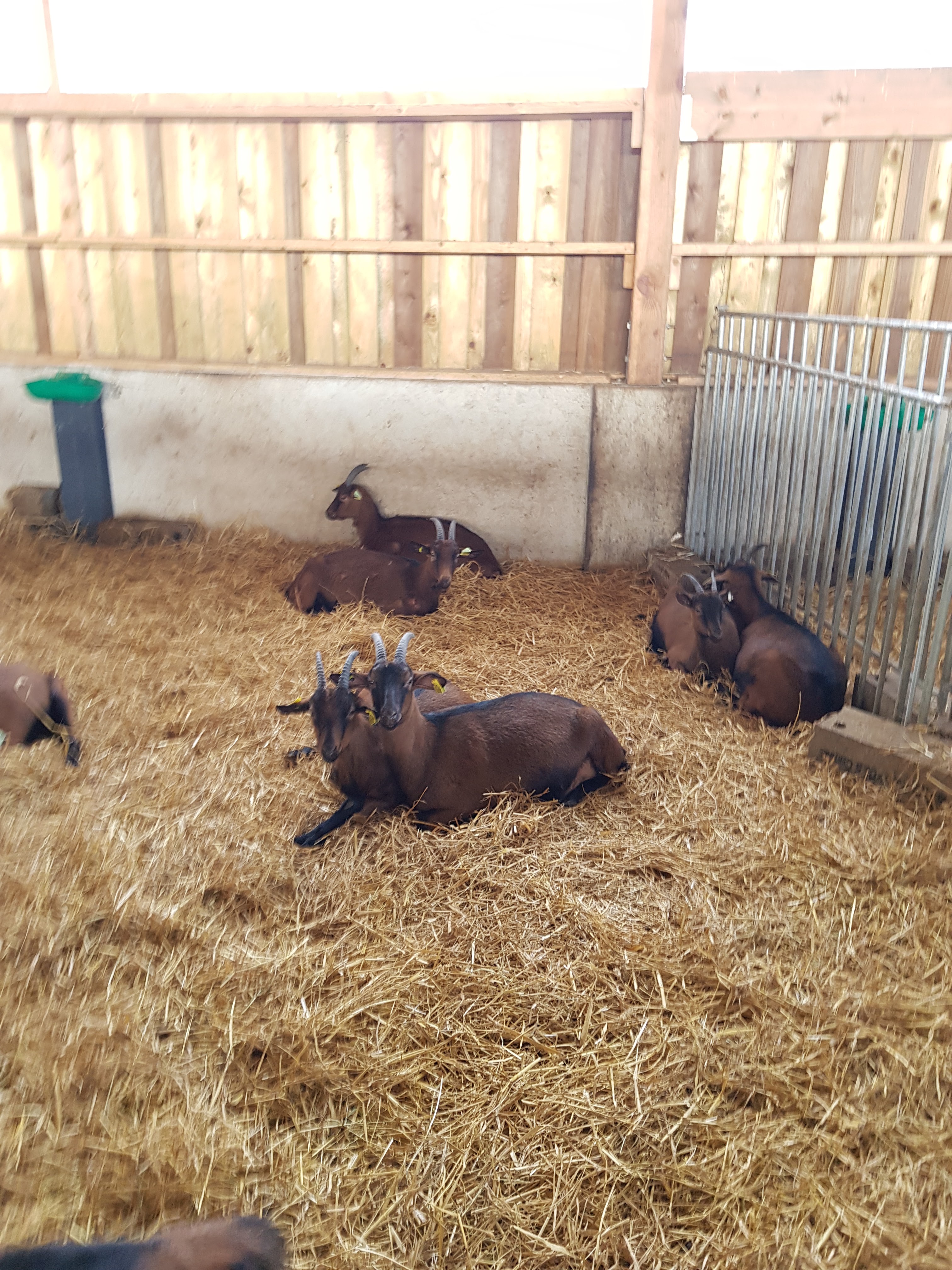 Photo n° 1 de l'avis de thibaut.t fait le 09/12/2020 à 13:51