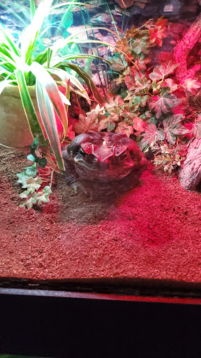 Science Museum «Science City», reviews and photos, 30 W Pershing Rd, Kansas City, MO 64108, USA